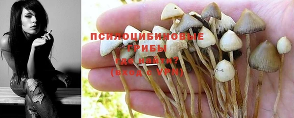 ГАЛЛЮЦИНОГЕННЫЕ ГРИБЫ Алексин