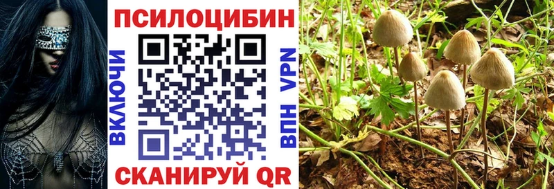 цена наркотик  Олонец  Галлюциногенные грибы MAGIC MUSHROOMS 