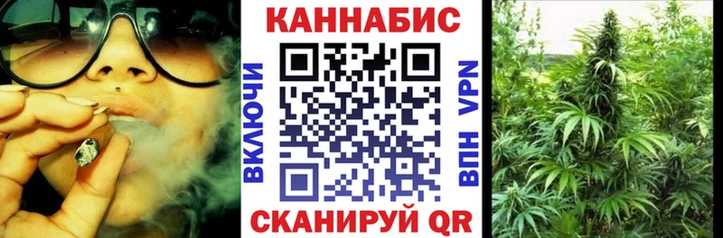 Каннабис OG Kush  сколько стоит  Олонец 